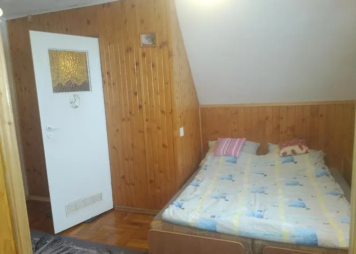 U Tadeusza 民宿 扎科帕内